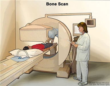 Bone scan; drawing shows patient lying on a table that slides under the scanner, a technician operating the scanner, and a monitor that will show images made during the scan.