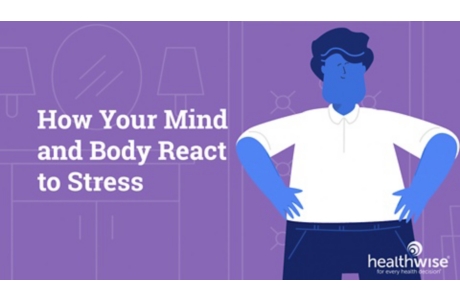 How Your Mind and Body React to Stress