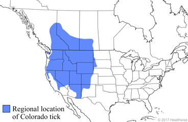 The Colorado tick is found in Arizona, New Mexico, Nevada, California Colorado, Utah, Wyoming, Idaho, Montana, Oregon, Washington, British Columbia, Alberta, and Saskatchewan