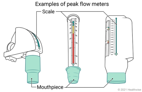 Three types of peak flow meters, showing mouthpiece and numbered scale on each.