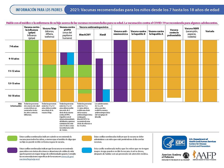 Vacunas recomendadas para los niños desde los 7 hasta los 18 años de edad (página 1)