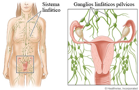 Ganglios linfáticos pélvicos