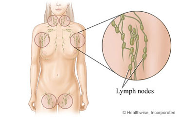 Location of lymph nodes throughout the body