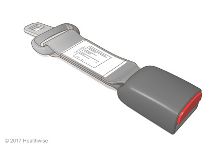 Seat belt extender with latch on one side, small belt in the middle, and buckle with release button on the other side.