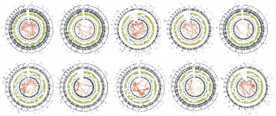 Diagrams of osteosarcoma cases from the NCI TARGET project.