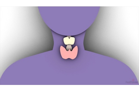 Thyroid Blood Test: Understanding the Test