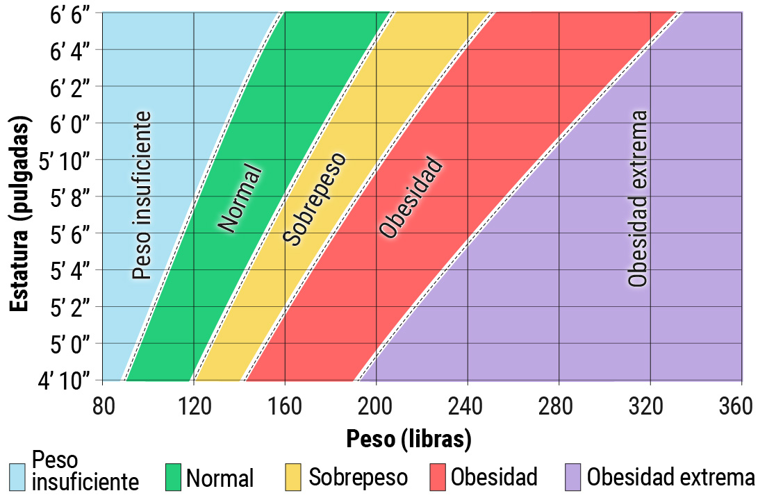 Tabla del índice de masa corporal, en la que se calcula el IMC según la estatura y el peso