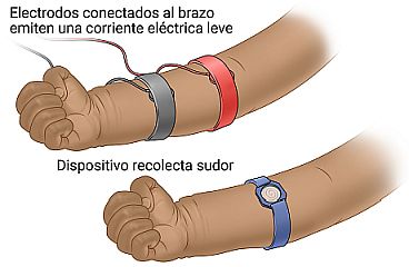 Electrodos conectados al brazo para producir sudor y un dispositivo en el brazo que recolecta el sudor.