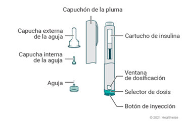 Partes de la pluma de insulina, entre ellas, la aguja, las capuchas interna y externa de la aguja, el capuchón de la pluma, el cartucho de insulina, la ventana de dosificación, el selector de dosis y el botón de inyección.