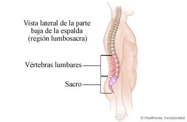 Región lumbosacra de la columna vertebral (parte baja de la espalda)