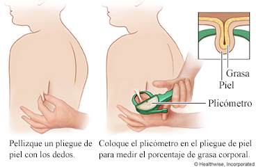 Prueba de grasa corporal