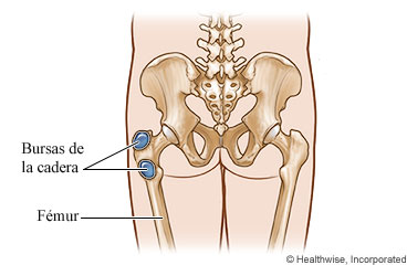 Huesos y bursas de la cadera