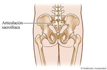 Articulación sacroilíaca