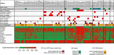 En el gráfico se muestra el análisis sin supervisión de los datos de expresión génica de los tumores de Wilms con características histológicas favorables distintivas desde el punto de vista clínico.