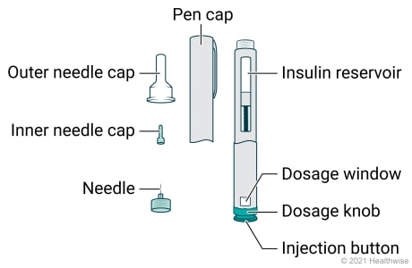 Insulin pen parts, including needle, inner and outer needle caps, pen cap, insulin reservoir, dosage window, dosage knob, and injection button. Insulin pen parts, including needle, inner and outer needle caps, pen cap, insulin reservoir, dosage window, dosage knob, and injection button.