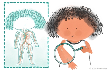 Bea holds a magnifying glass over her arm to show veins, next to a picture of veins inside the body. Bea holds a magnifying glass over her arm to show veins, next to a picture of veins inside the body.