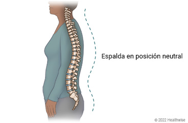 Vista lateral de una persona de pie, mostrando la columna vertebral en posición neutral, curvada en forma de "S".