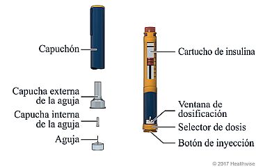 Pluma de insulina, con cada parte etiquetada