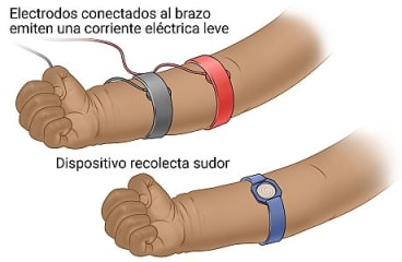 Electrodos conectados al brazo para producir sudor y un dispositivo en el brazo que recoge el sudor.