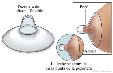 Pezonera, con detalle que muestra la ubicación en el pecho y la acumulación de leche en la punta de la pezonera