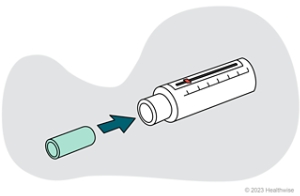 A mouthpiece and a peak flow meter.