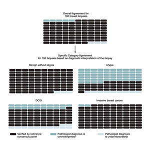 Charts showing the predicted outcomes for 100 breast biopsies, overall and by diagnostic category.