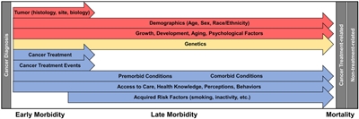 Chart showing factors influencing morbidity and mortality in the childhood cancer survivor.