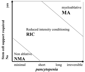 Figure 3; chart shows classification of conditioning regimens based on duration of pancytopenia and requirement for stem cell support; chart shows myeloablative regimens, nonmyeloablative regimens, and reduced intensity regimens. Figure 3; chart shows classification of conditioning regimens based on duration of pancytopenia and requirement for stem cell support; chart shows myeloablative regimens, nonmyeloablative regimens, and reduced intensity regimens.