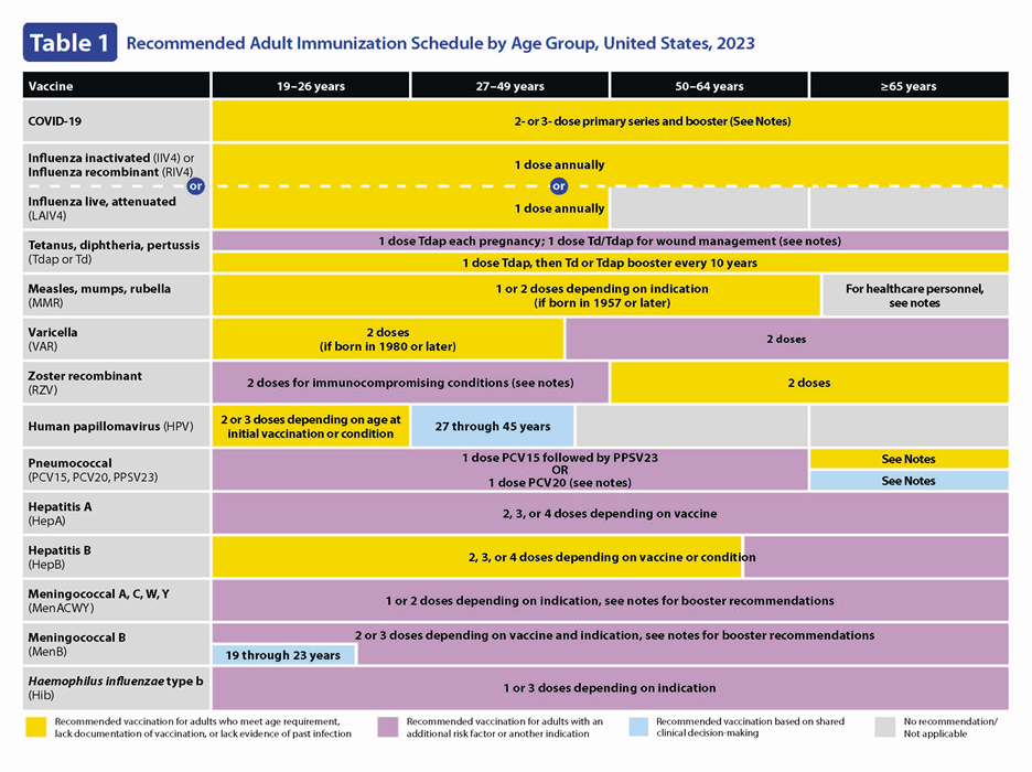 Recommended adult immunization schedule - U.S. (page 1)