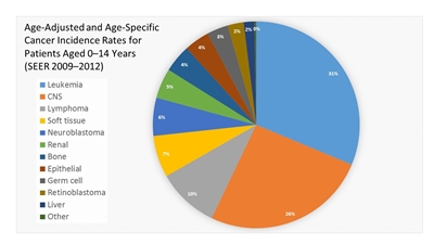 Pie chart showing age-adjusted and age-specific cancer incidence rates for patients aged 0-14 years (SEER 2009-2012).