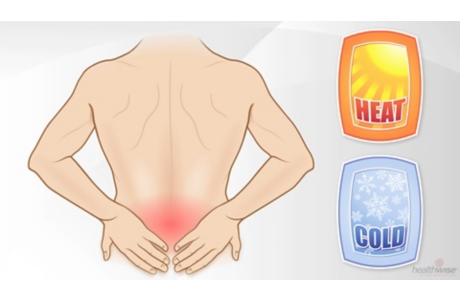 Lumbosacral Region of the Spine (Lower Back)