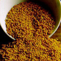 Fenugreek