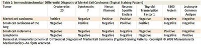 MerkelCell