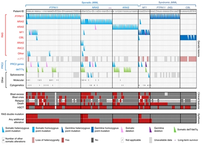 Chart showing alteration profiles in individual JMML cases.