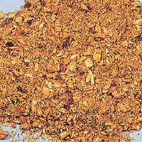 Lomatium