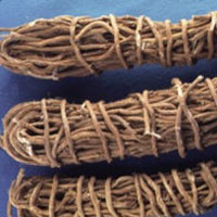 Sarsaparilla